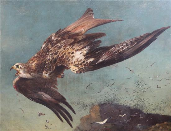 John Christopher Bell (fl 1841-69) The Winged Kite 28 x 36in.